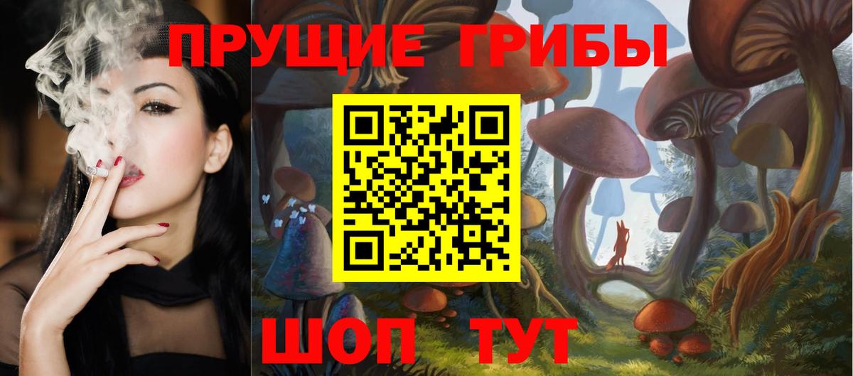 Галлюциногенные грибы Psilocybine cubensis Зима